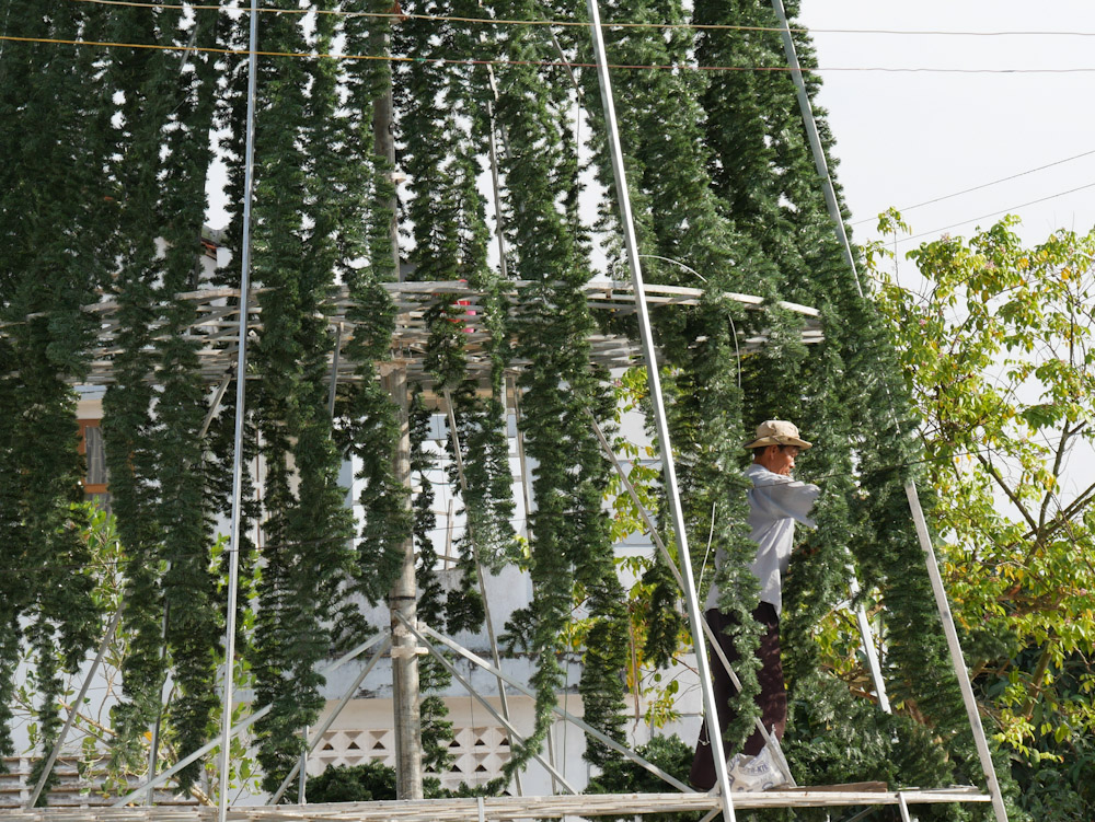 A local studiously decorates a giant Christmas tree at Cu Lao Gieng cathedral. 