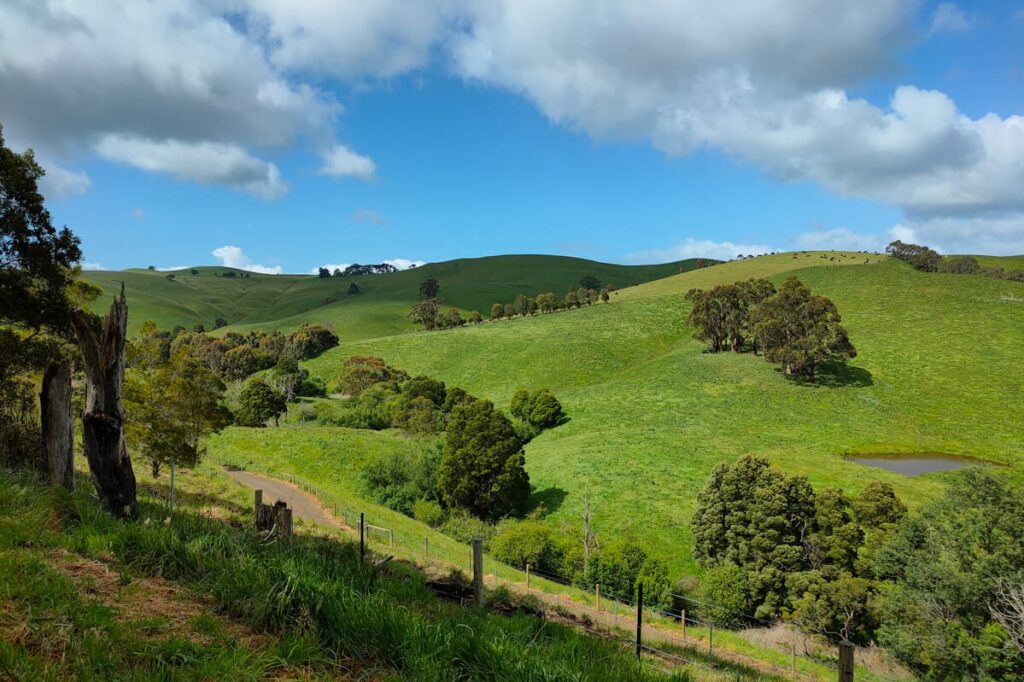 A view over rolling green hills in Gippsland's Bass district