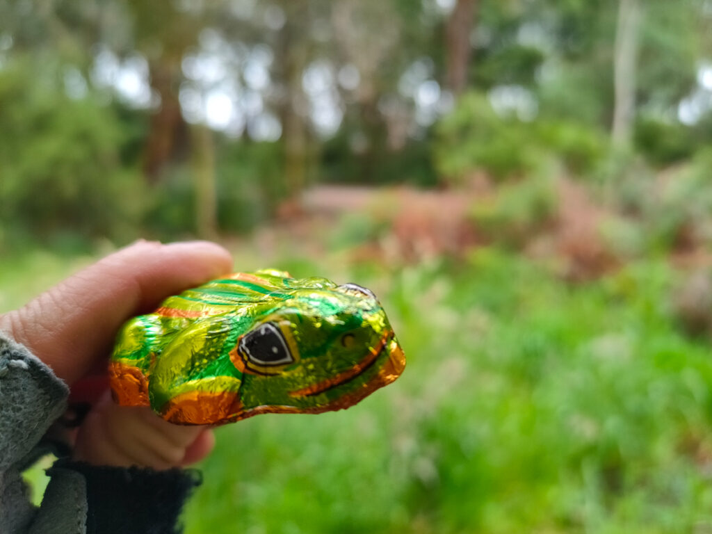 Close up photo of a chocolate frog in colourful wrapper on the Gippsland Great Southern Rail Trail. 