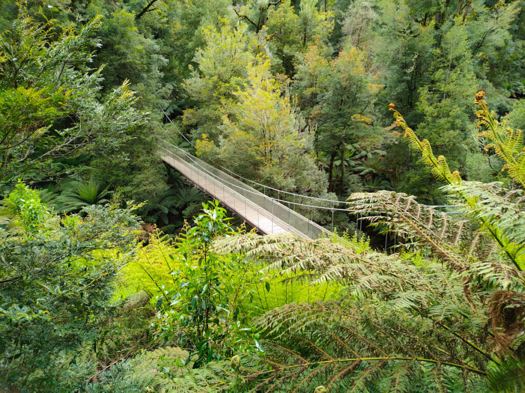 The Tarra Bulga suspension bridge, view from above. 