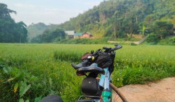 Rocky roads and golden rice fields: cycling south from Ha Giang