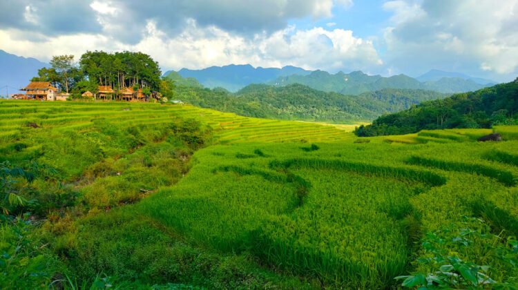 One thousand metres up – cycling Mai Chau to Pu Luong