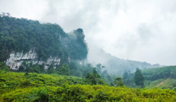 Finding Phong Nha the hard way