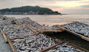 Dried fish and a truckies lunch