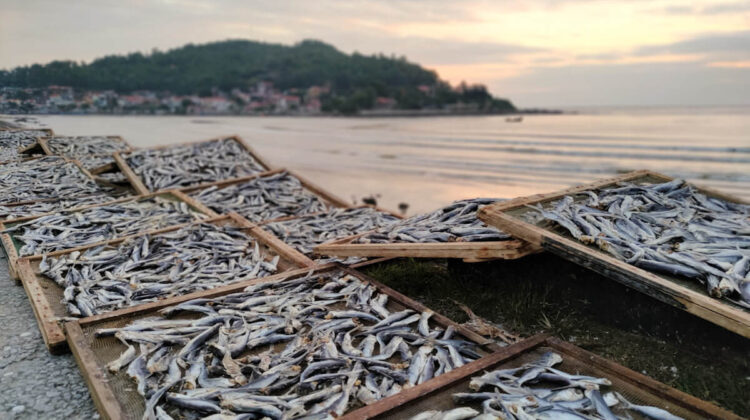 Dried fish and a truckies lunch