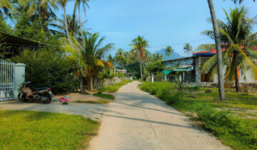 Meandering road to a white sands beach