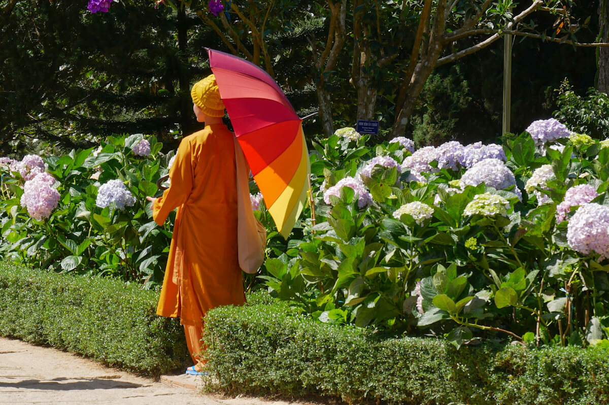 A Zen Buddhist monk at Da Lat